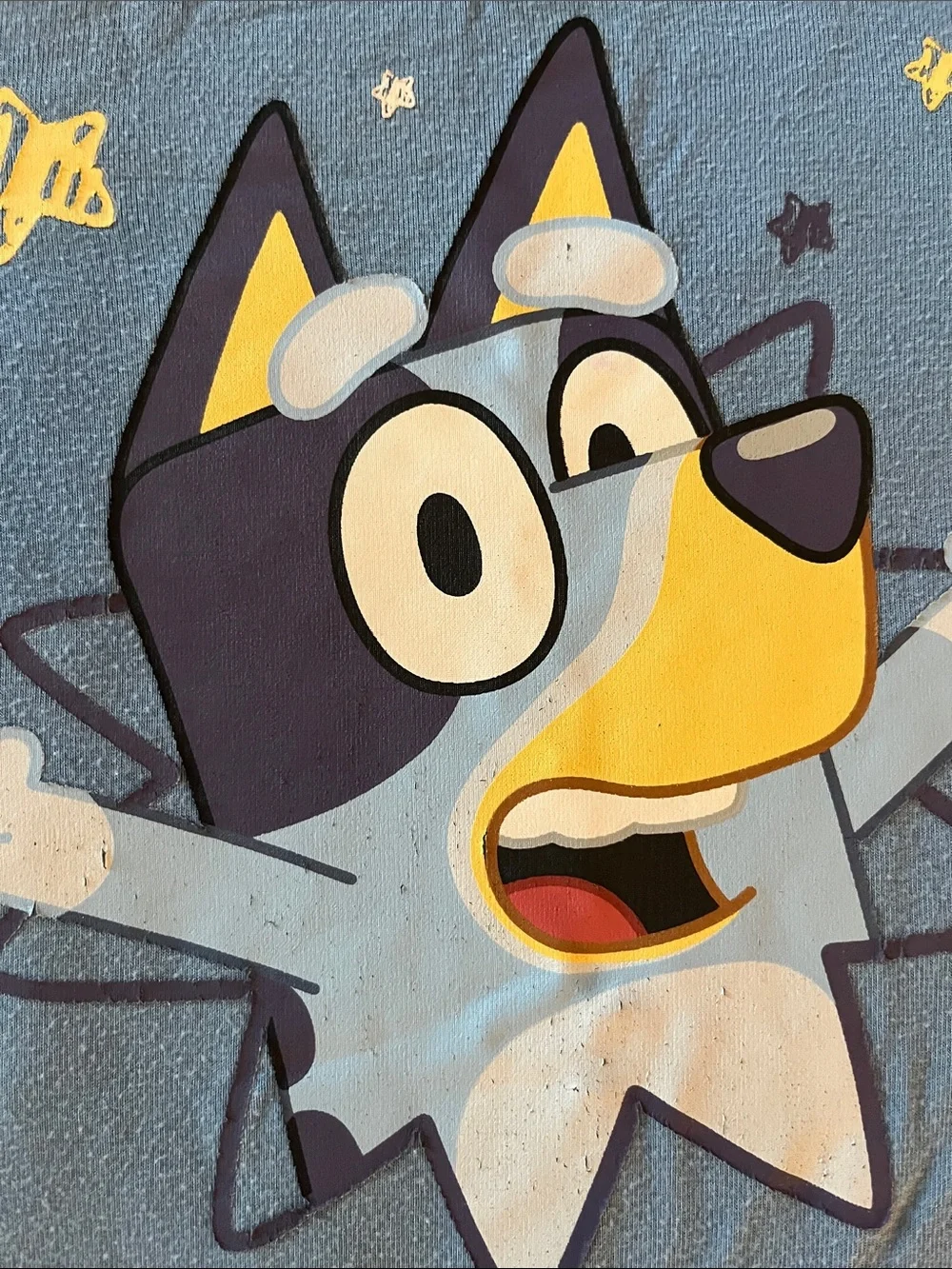 Little Sleepies Bluey shirt 4T